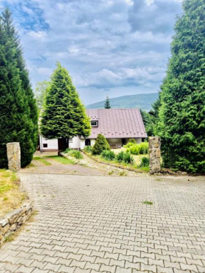 Wiejski domek w Izerach Mountain Aparts Swieradów-Zdrój